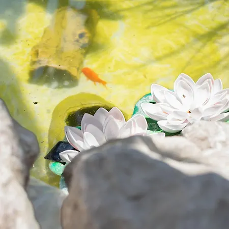 Σπίτι διακοπών Casa Terra, Kremasti Rhodes With A View Of Nature