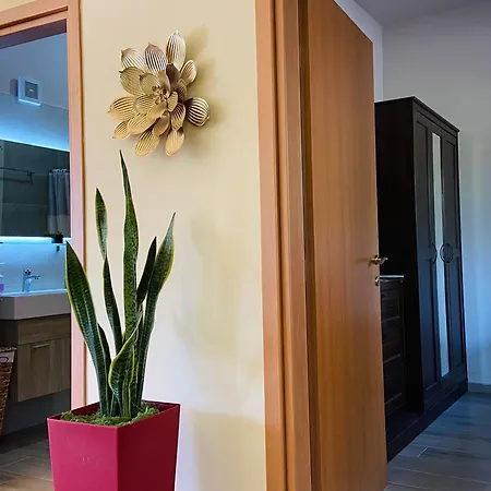 Casa Terra *
