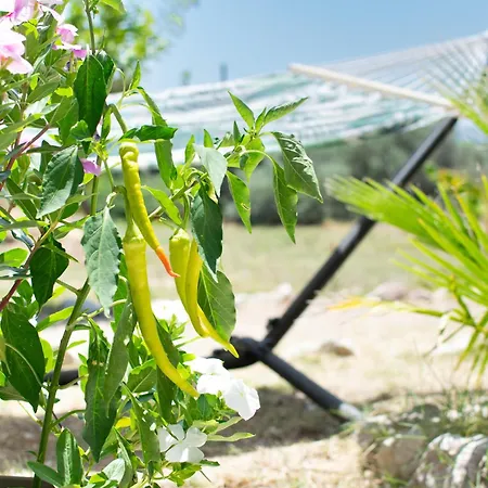 Feriehus Casa Terra, Kremasti Rhodes With A View Of Nature