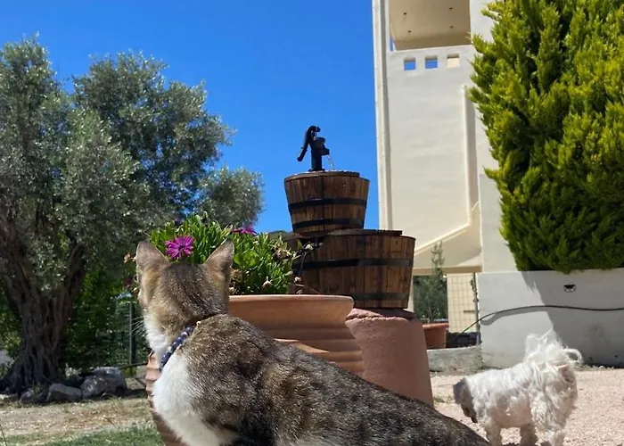 Hébergement de vacances Casa Terra, Kremasti Rhodes With A View Of Nature