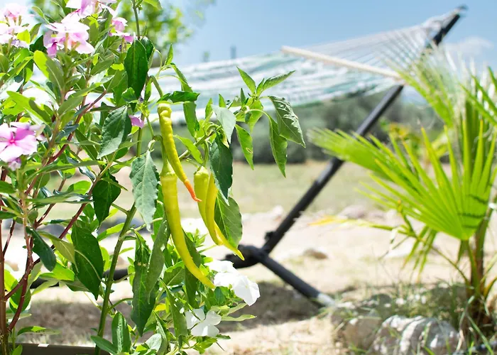 Hébergement de vacances Casa Terra, Kremasti Rhodes With A View Of Nature