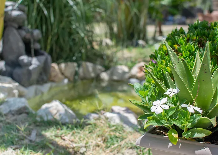 Casa Terra, Kremasti Rhodes With A View Of Nature