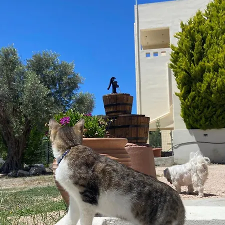 Nyaraló Casa Terra, Kremasti Rhodes With A View Of Nature