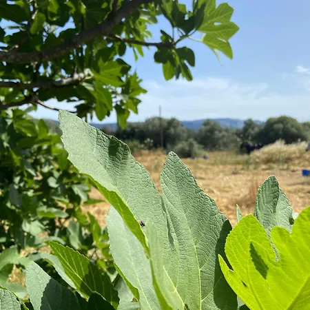 Σπίτι διακοπών Casa Terra *