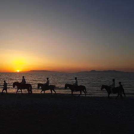 Casa Terra, Kremasti Rhodes With A View Of Nature