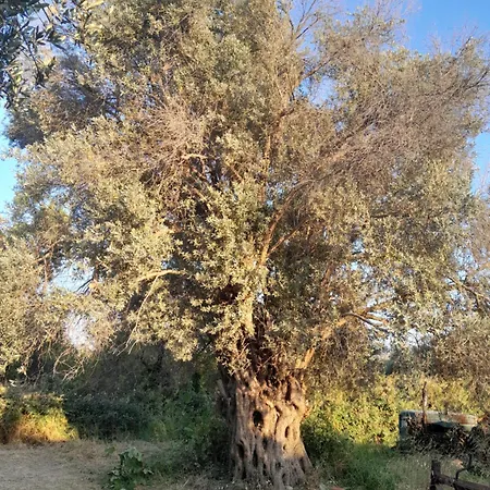 Σπίτι διακοπών Casa Terra Κρεμαστή
